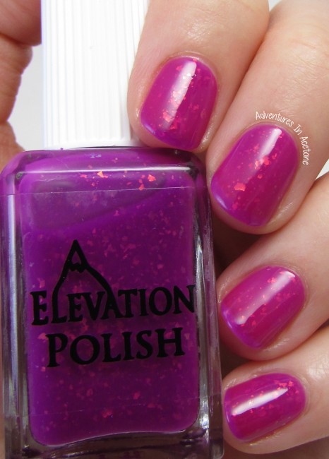 Elevation Polish Angels are the Yeti of the Clouds 2. 1