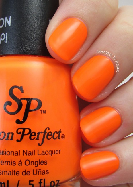 Salon Perfect Traffic Cone 1