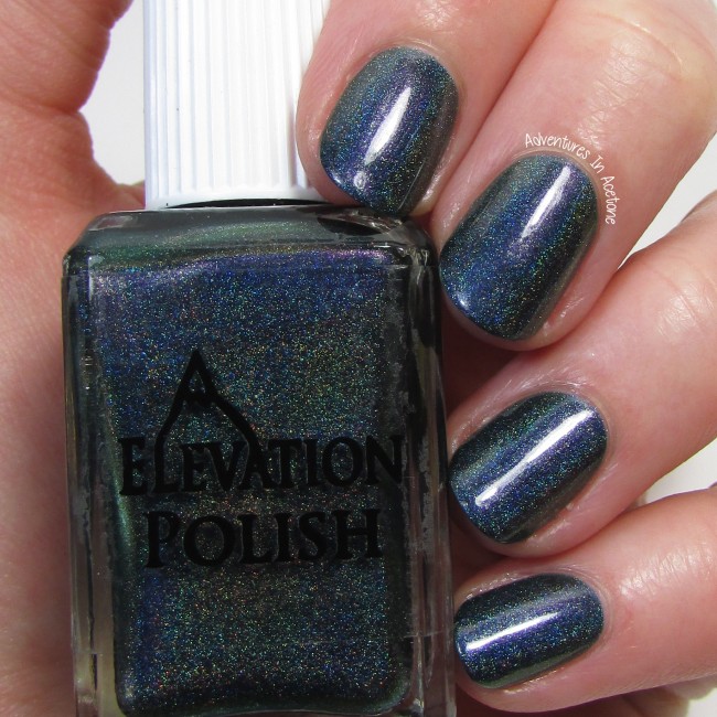 Elevation Polish Dark Territory 1