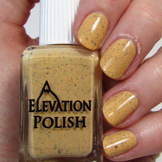 Elevation Polish Polar Bear on Roller Skates with a Mango 1