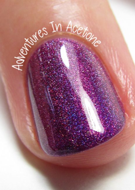 KBShimmer Orchidding Me? 3